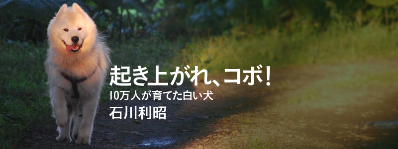 起き上がれ、コボ! ~10万人が育てた白い犬~ 著者:石川利昭