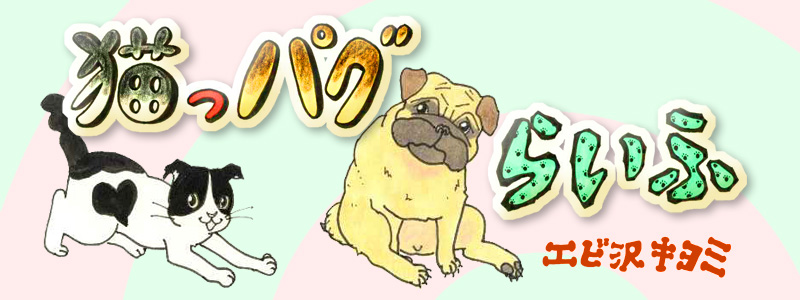 猫っパグらいふ  著者：エビ沢キヨミ